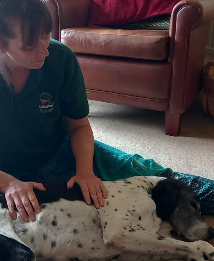 Benefits of Canine Massage near me, Bingley, Otley, Halfix, Colne, Keighley, Skipton, Saltaire, Shipley, Nabwood, West Yorkshire